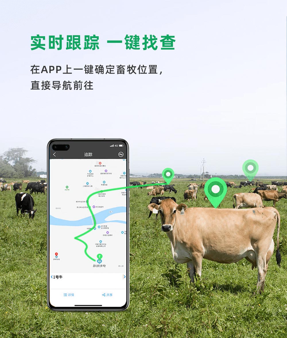 牛羊定位器